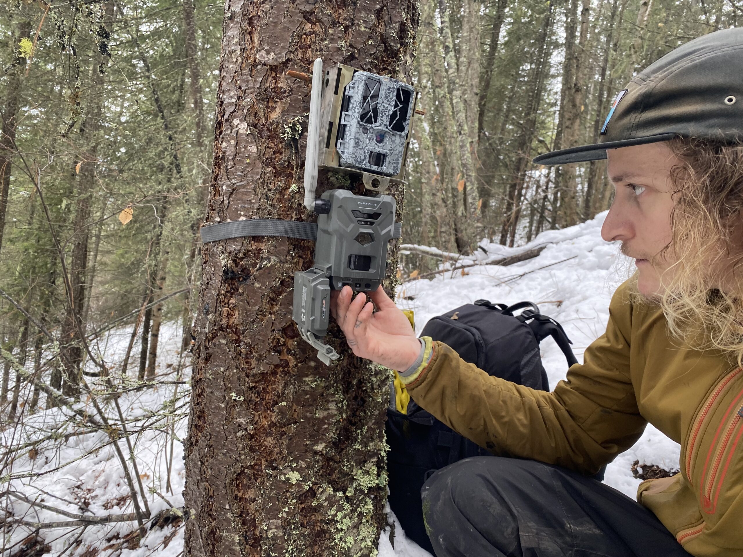 Best Trail Cameras of 2025: Top 5 Cams for Wildlife, Hunting & Home Security