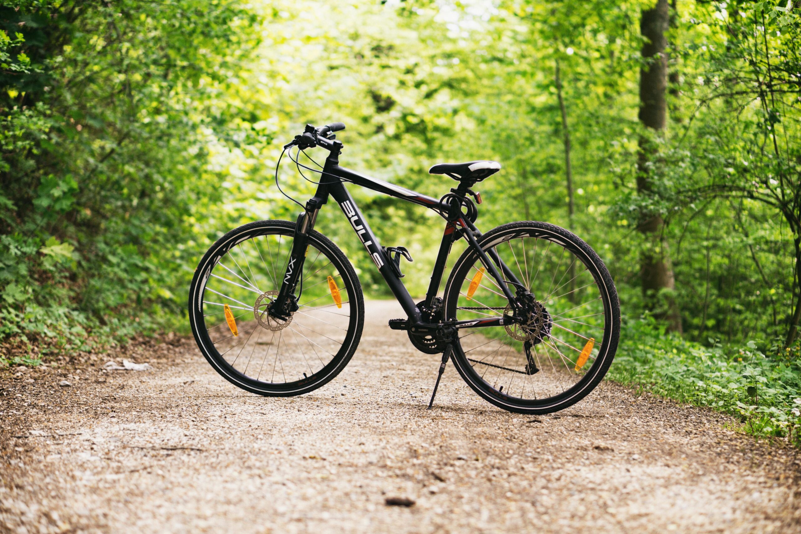 Gear Up for Trails: Best Mountain Bikes for Adventure Seekers