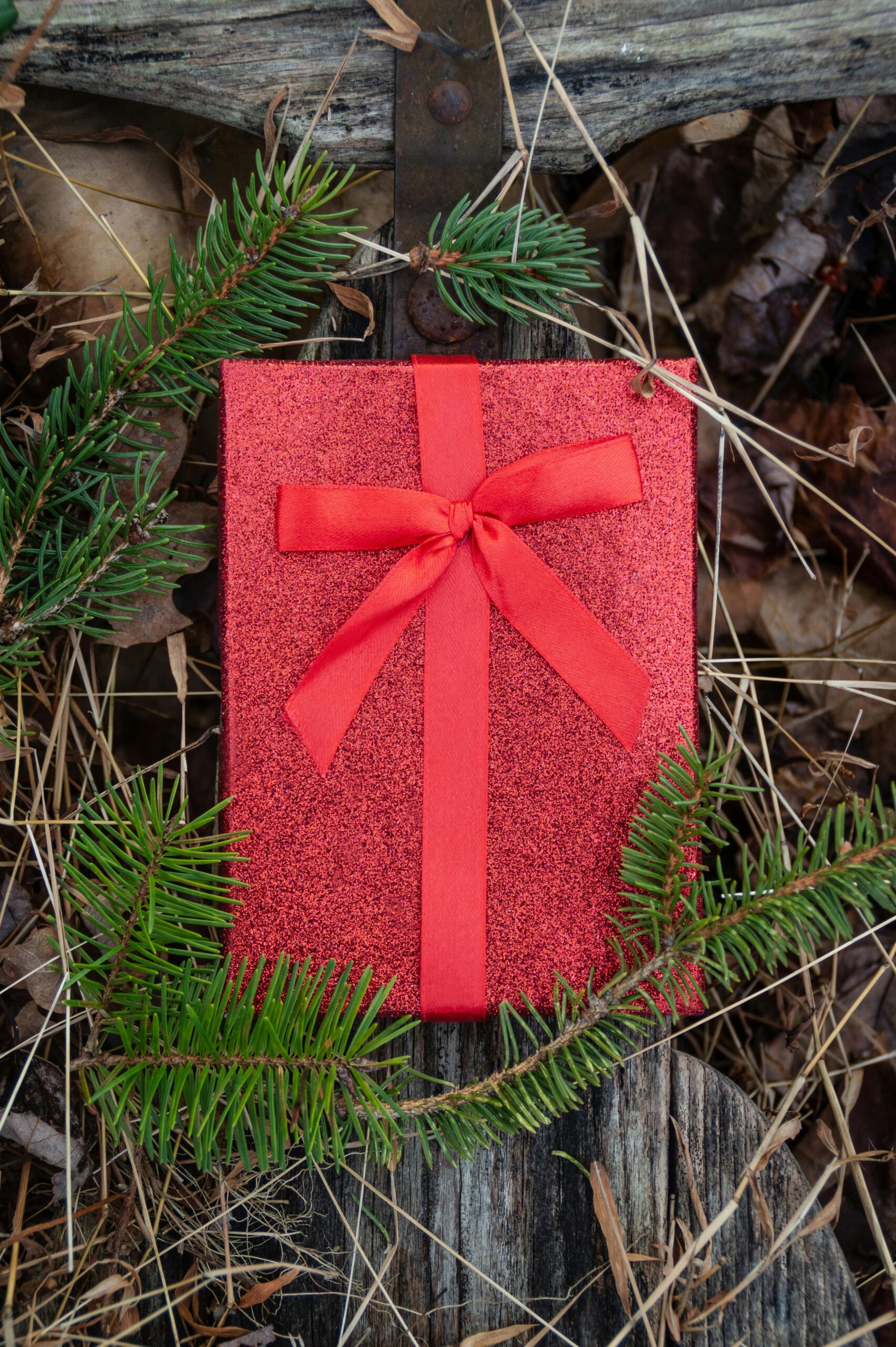 Gift Guide: Top Amazon Outdoor Gifts for Adventurers (Under $100!)
